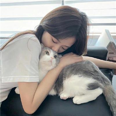 最终骑士