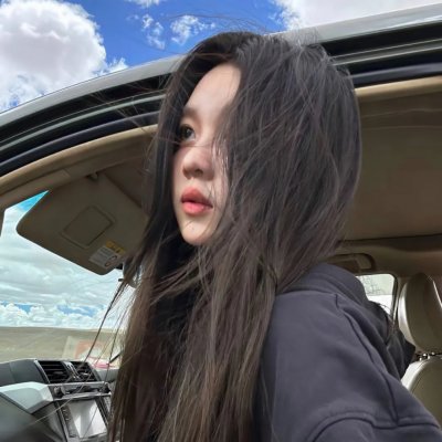 机动部队—伙伴